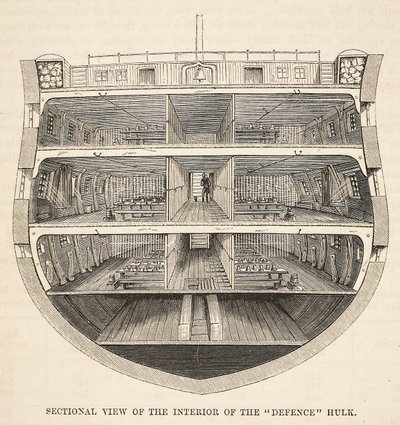 Vue en coupe de l