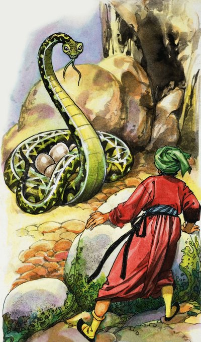 Serpent protégeant ses œufs - English School