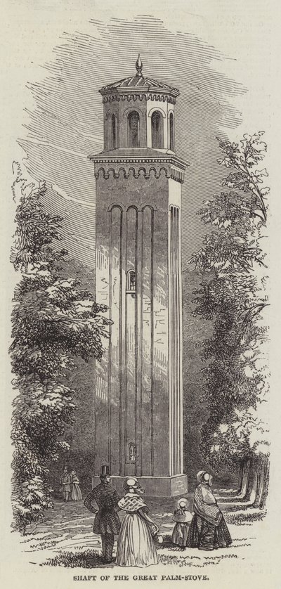 Arbre de la grande serre à palmiers - English School