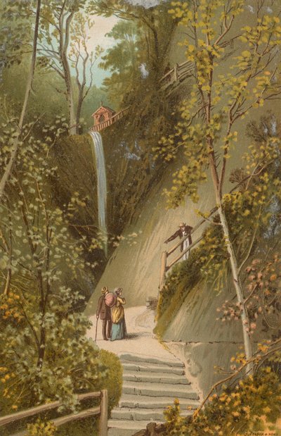Shanklin Chine--Île de Wight - English School