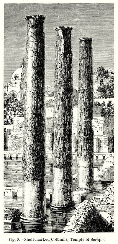 Colonnes marquées de coquillages, temple de Sérapis (gravure) - English School