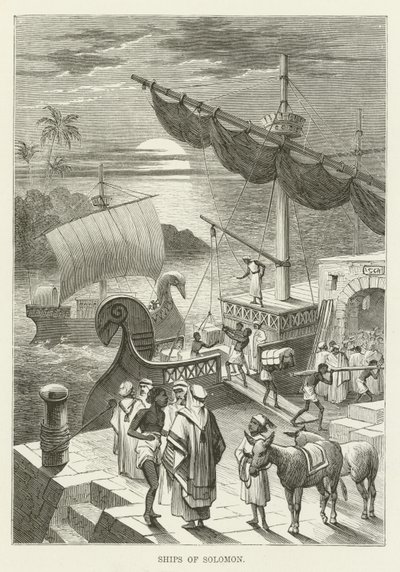Navires de Salomon - English School
