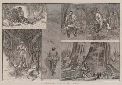Chasse aux oiseaux de brousse en Afrique de l