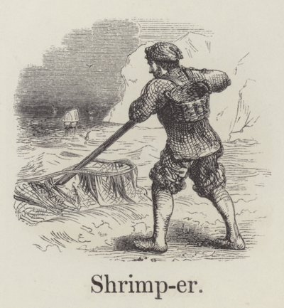 Pêcheur de crevettes - English School