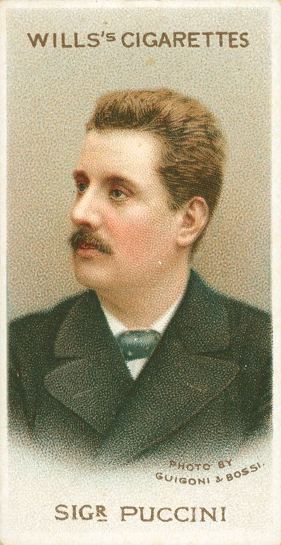 Sigr Puccini - English School
