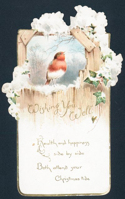 Rouge-gorge chantant - English School