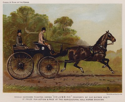 Cheval de Phaéton en Harnais Simple "Columbine," Propriété de Charles Baynes Esq - English School