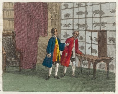 Musée de Sir Hans Sloane - English School