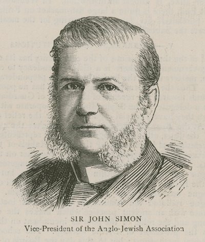 Sir John Simon, Vice-Président de l