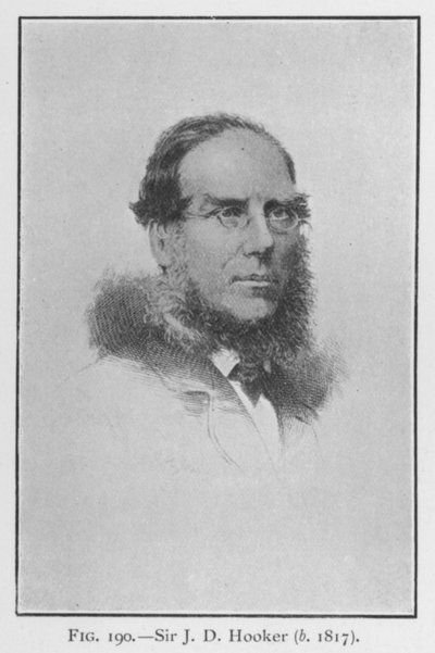Sir Joseph Dalton Hooker (1817-1911), portrait - English School