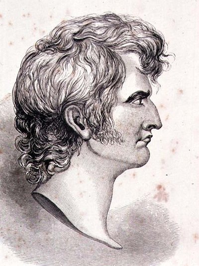 Sir William Francis Patrick Napier (1785-1860) (gravure) - English School