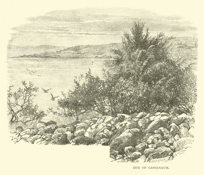 Site de Capharnaüm - English School