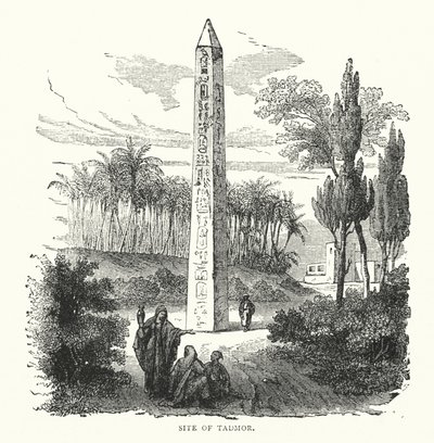 Site de Tadmor - English School