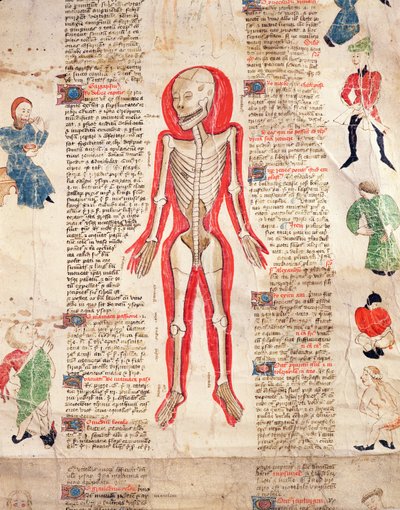 Squelette, de De arte phisicali e de cirugia par John Ardene, 1412 - English School