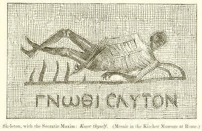 Squelette, avec la maxime socratique : Connais-toi toi-même (Mosaïque au Musée Kircher à Rome) - English School