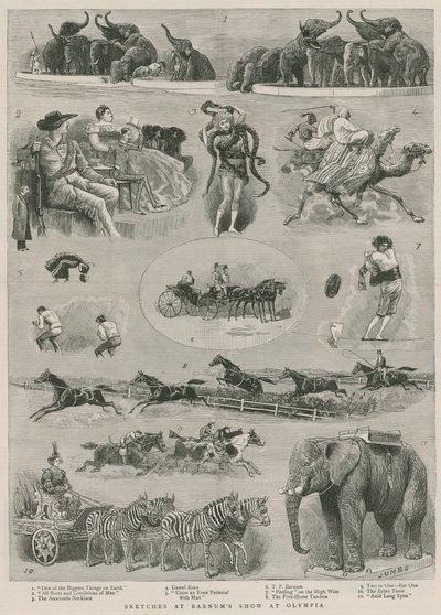 Croquis au spectacle de Barnum à Olympia, Londres - English School