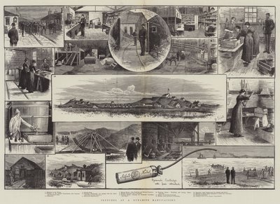 Croquis dans une usine de dynamite (gravure) - English School