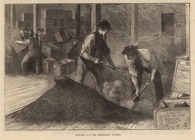 Esquisses dans un entrepôt de thé : mélange - English School