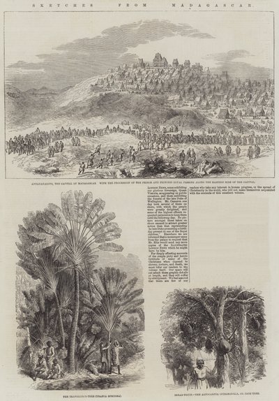 Croquis de Madagascar (gravure) - English School