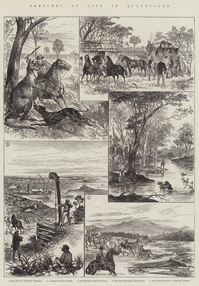 Esquisses de la vie dans le Queensland - English School