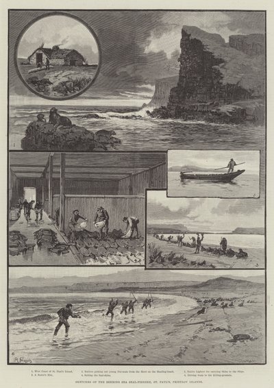 Croquis de la pêche au phoque en mer de Behring, Saint-Paul, Îles Pribylov - English School