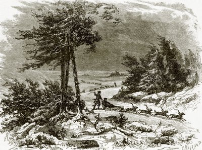Traîneau et chiens sur l
