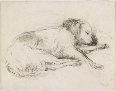 Chien endormi, c.1840 - English School