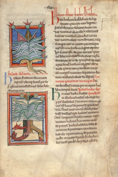 Sloane Ms 1975 fol.48 Le Basilic - English School