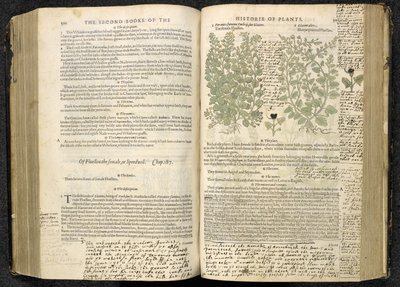 Véronique, page 500-501 de 