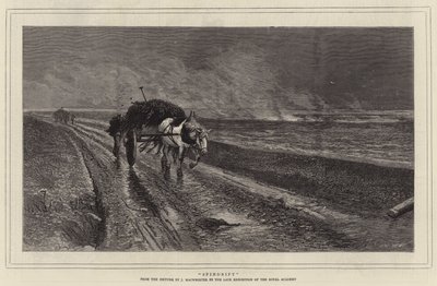 Spindrift (gravure) - English School