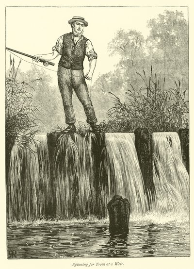 Pêche à la truite à un barrage - English School