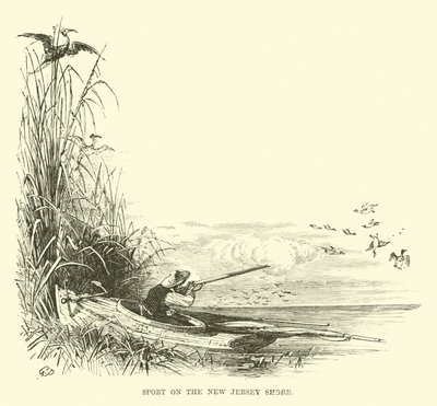 Sport sur la côte du New Jersey - English School