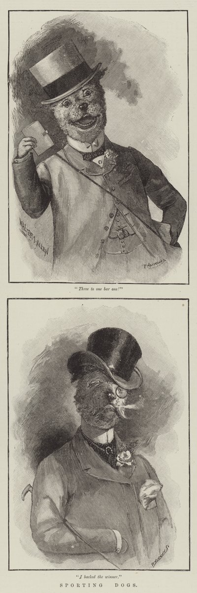 Chiens de chasse (gravure) - English School