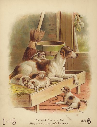 Spot et ses cinq chiots - English School