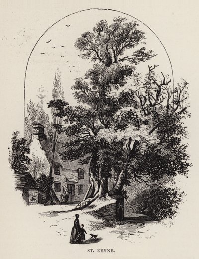 Saint Keyne (gravure) - English School