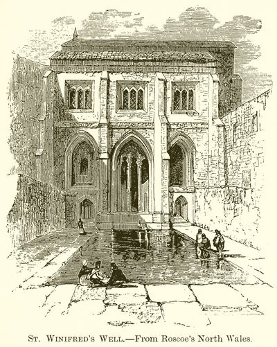 Puits de Sainte Winifred - English School