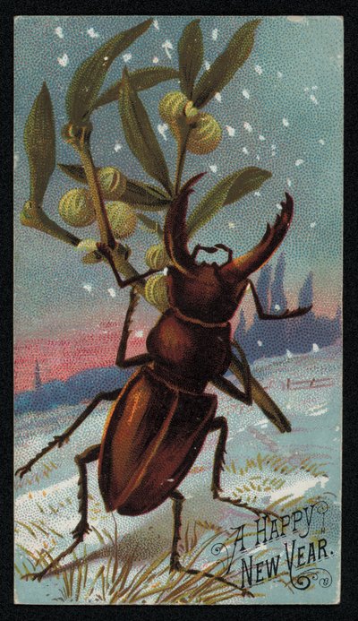Scarabée portant du gui dans un paysage hivernal, carte de vœux de Noël - English School