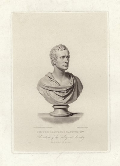 Stamford Raffles - English School