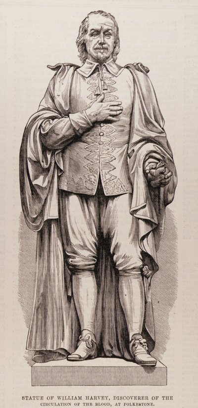 Statue de William Harvey (1578-1657), découvreur de la circulation du sang, à Folkestone, de The Illustrated London News, 13 août 1881 - English School