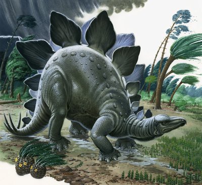 Stegosaurus - English School