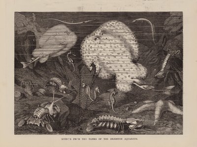 Études des bassins de l