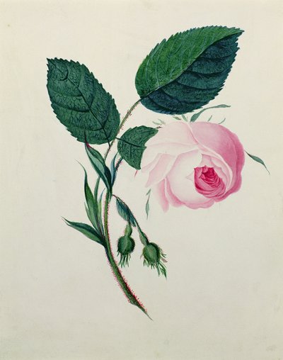 Étude d