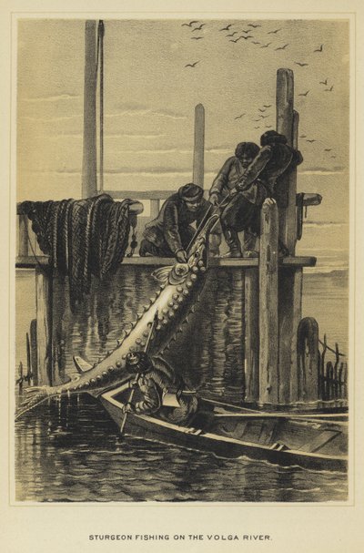 Pêche à l