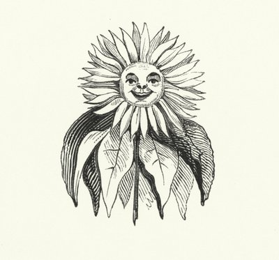 Tournesol - English School