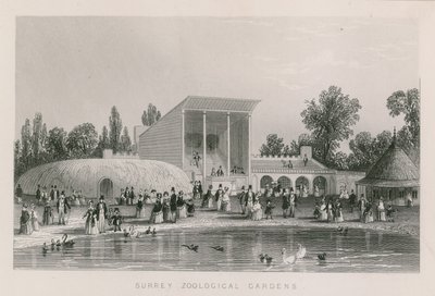 Jardins zoologiques du Surrey - English School