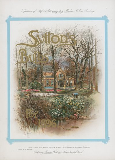 Bulbes de Sutton pour 1896 - English School