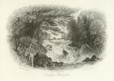 Cascade Swallow, près de Betws-y-Coed, nord du Pays de Galles - English School