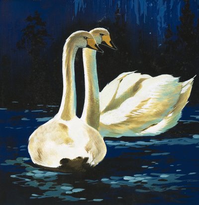 Cygnes - English School