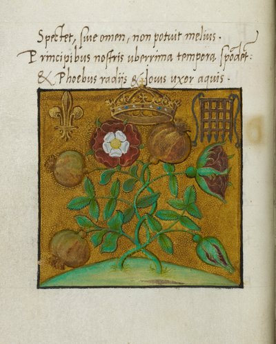 Symboles de la royauté, illustration pour 