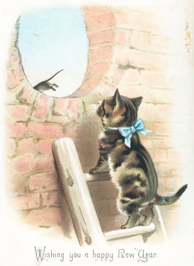 Chat tigré regardant une souris s